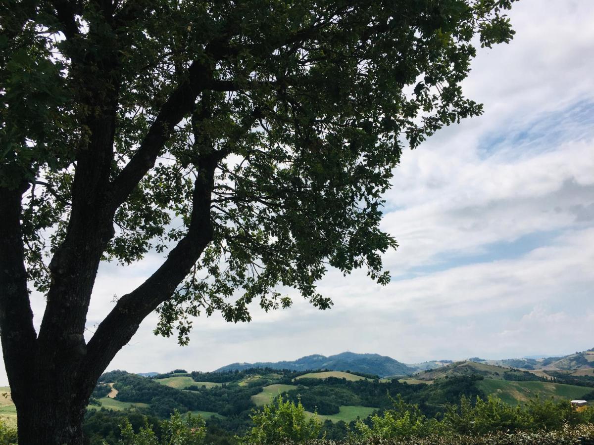 Vila La Palazzina Di Ciagnano Ozzano dell'Emilia Exteriér fotografie