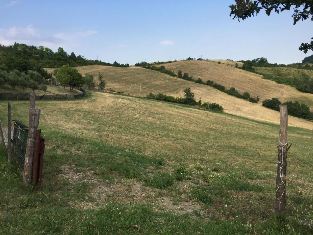 Vila La Palazzina Di Ciagnano Ozzano dell'Emilia Exteriér fotografie